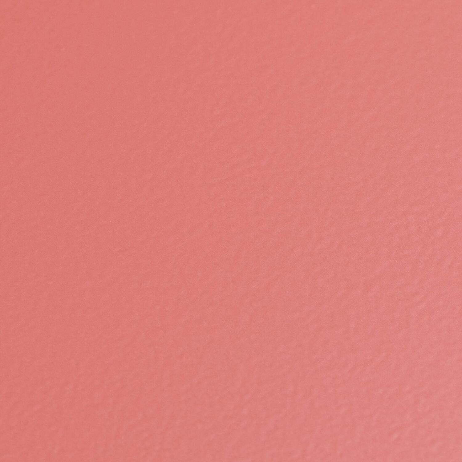 Toyo- 'Steel Trunk' Shape Toolbox T-190 Living Coral