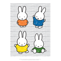 Miffy 4 Images 11x14"
