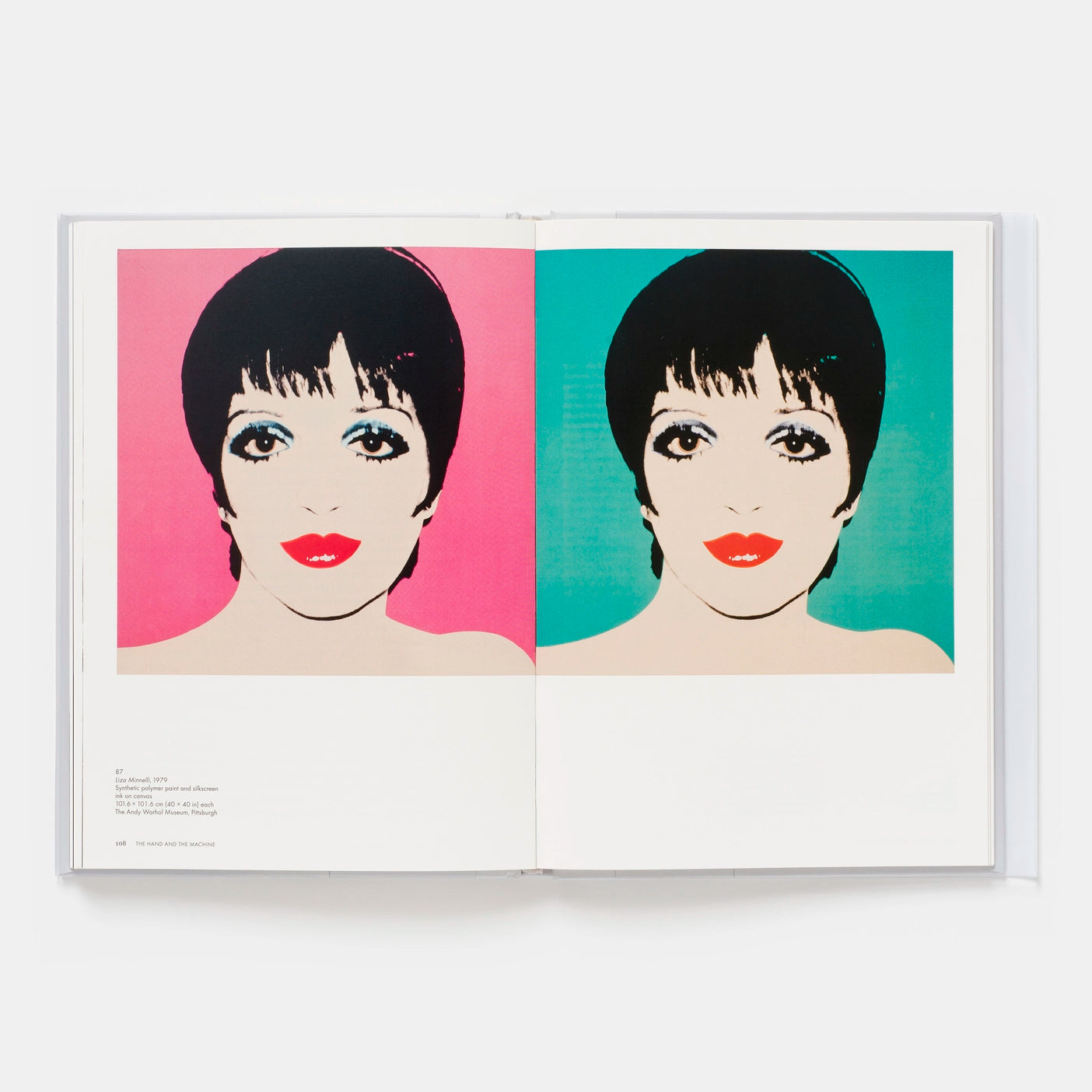 Andy Warhol - Phaidon Focus