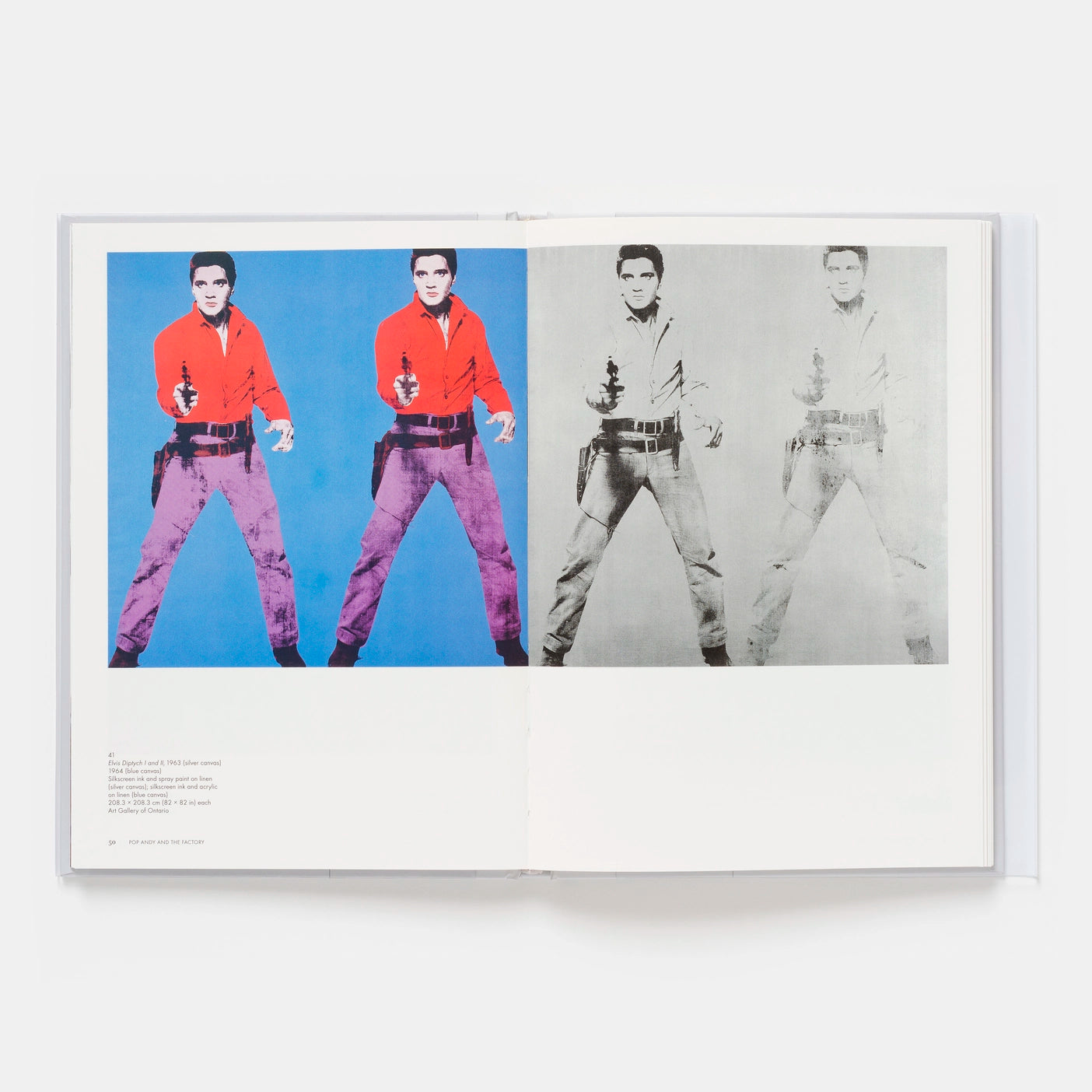 Andy Warhol - Phaidon Focus
