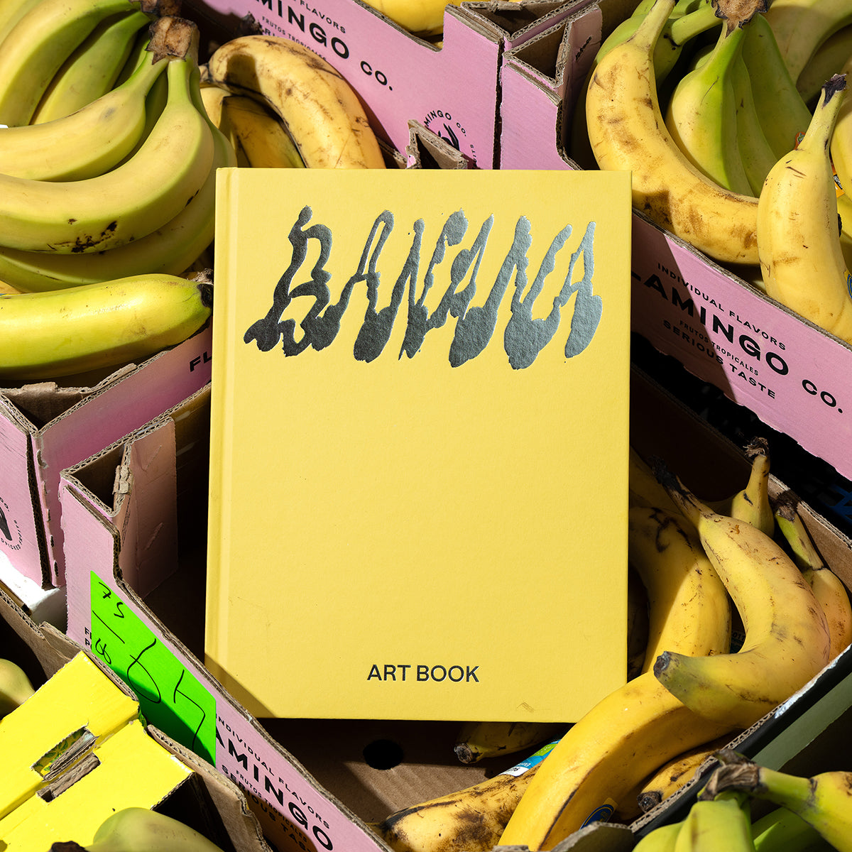 Banana Art Book