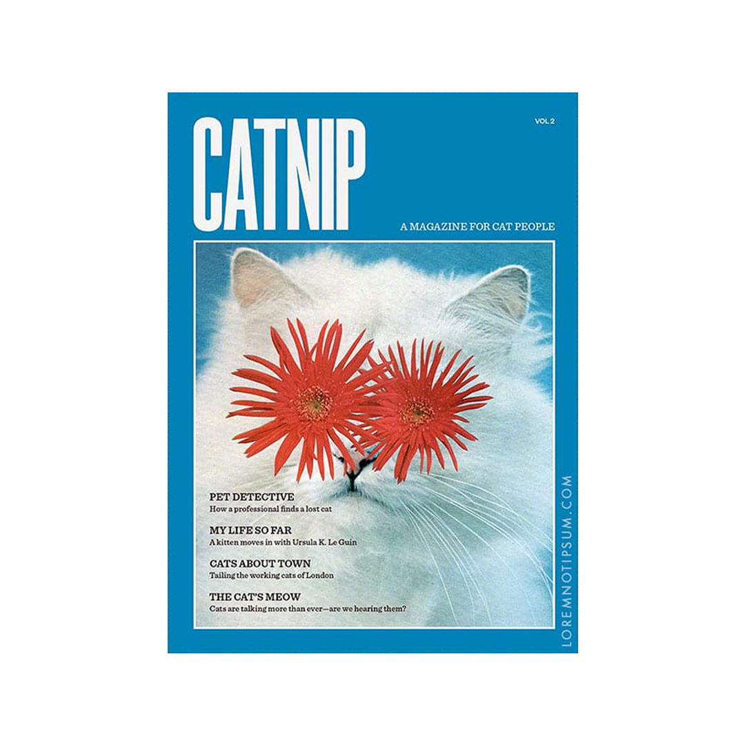 Catnip - Issue 02