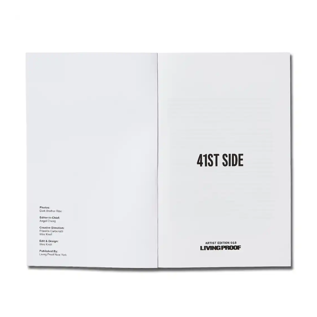 '41st Side'  A book by Living Proof