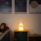 Miffy - 'Shines'