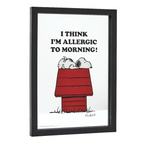 Peanuts - 'Allergic To Morning!' Framed Mirror