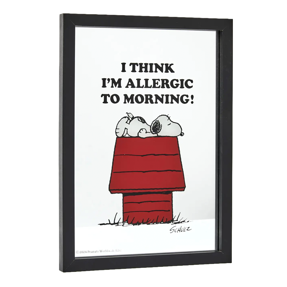 Peanuts - 'Allergic To Morning!' Framed Mirror