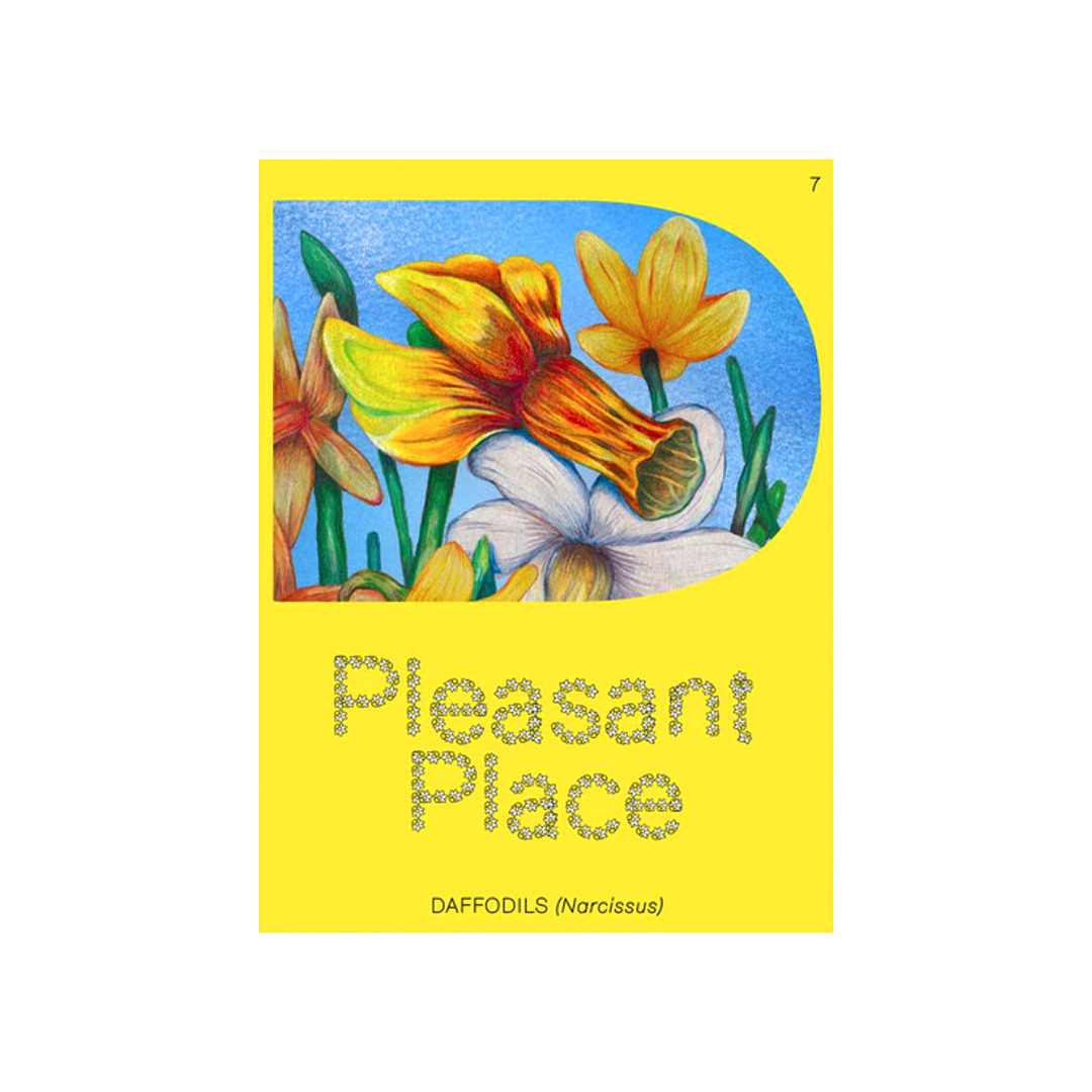 Pleasant Place - Daffodils