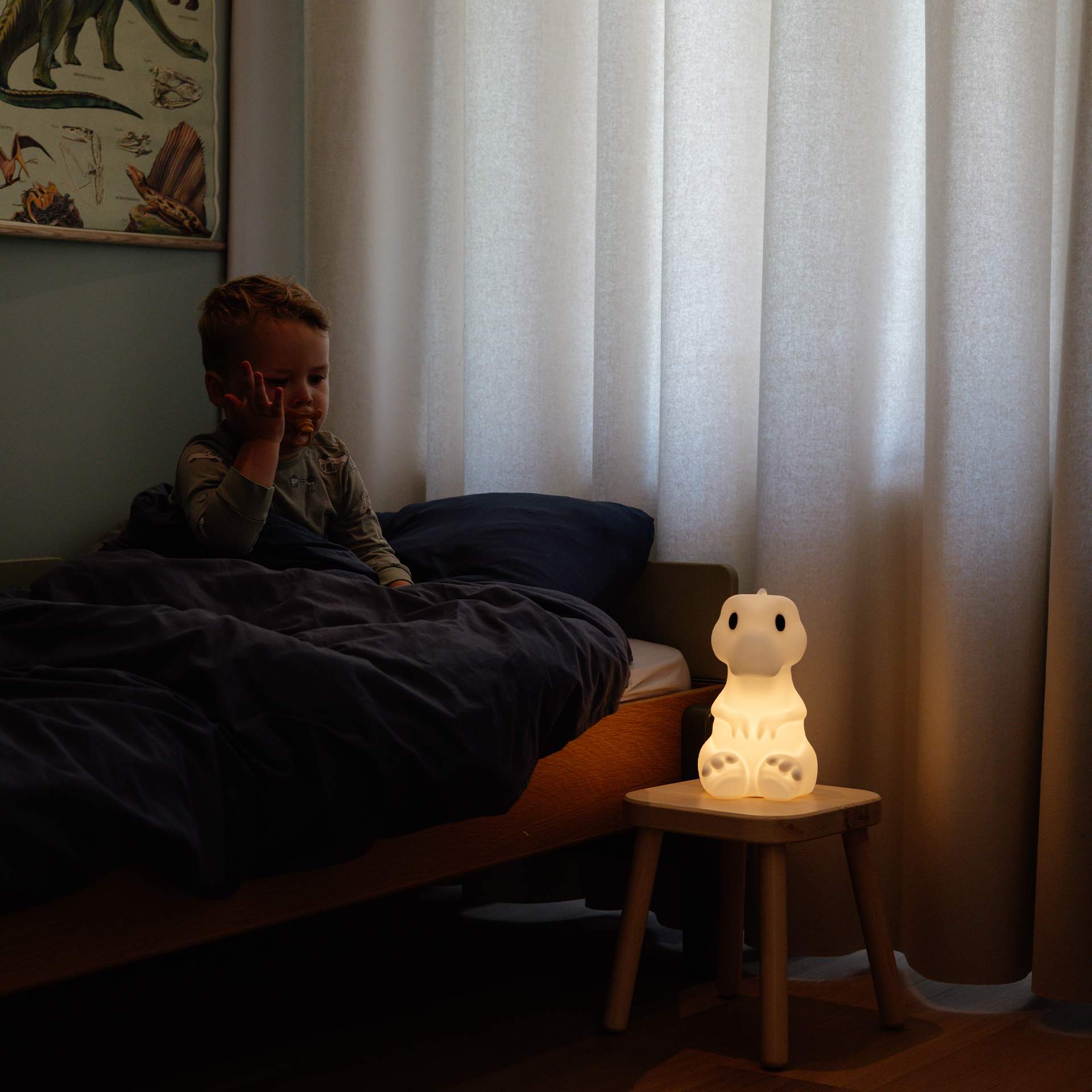 Rena -   Dino 'First Light' Night Light
