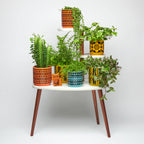 Magpie X Hornsea Small Planty - Plant Pot Geo Flower Yellow