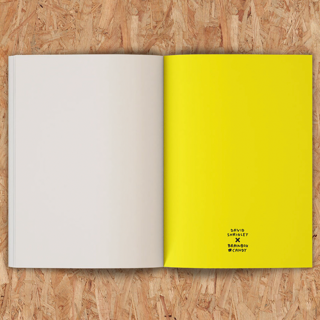 David Shrigley - 'Art Will Save The World' A5 144 Page Sketchbook