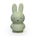 Ap Junior Miffy Money Box Small - Eucalyptus Green