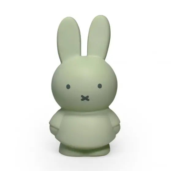 Ap Junior Miffy Money Box Small - Eucalyptus Green