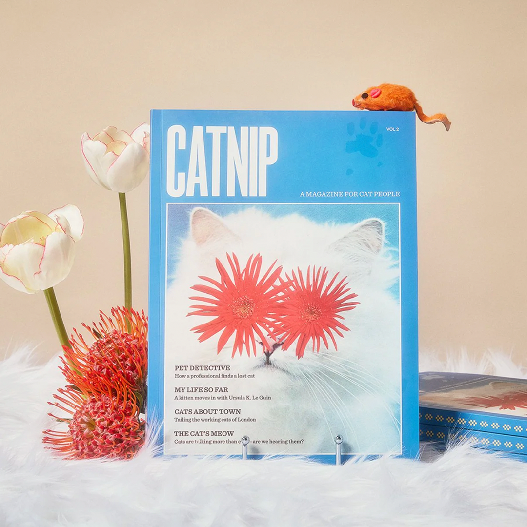 Catnip - Issue 02