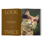 Catnip - Issue 02
