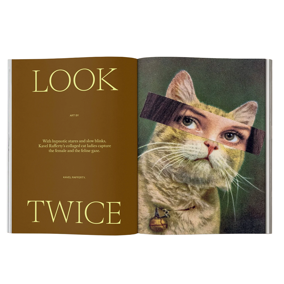 Catnip - Issue 02