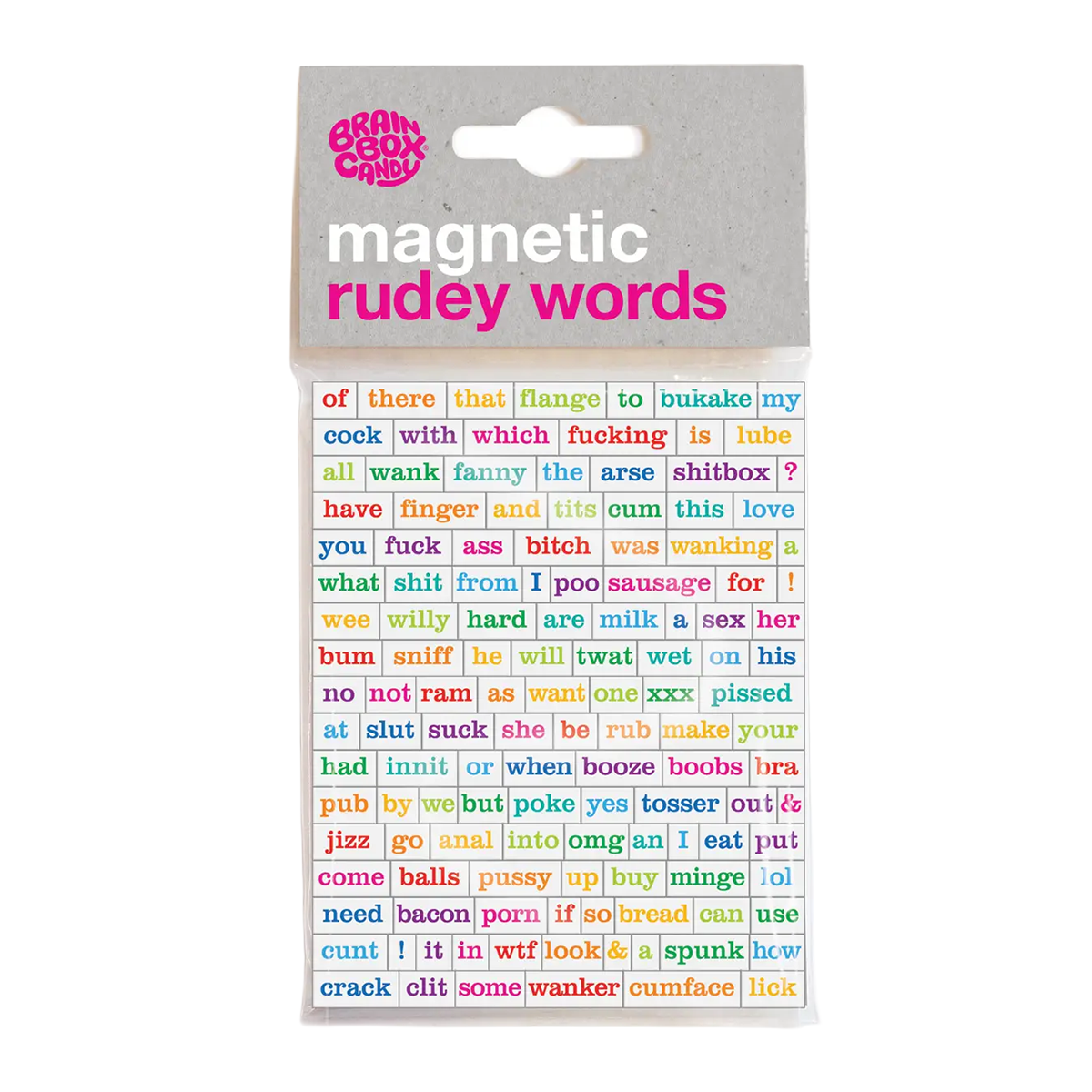 Rude Magnetic Words