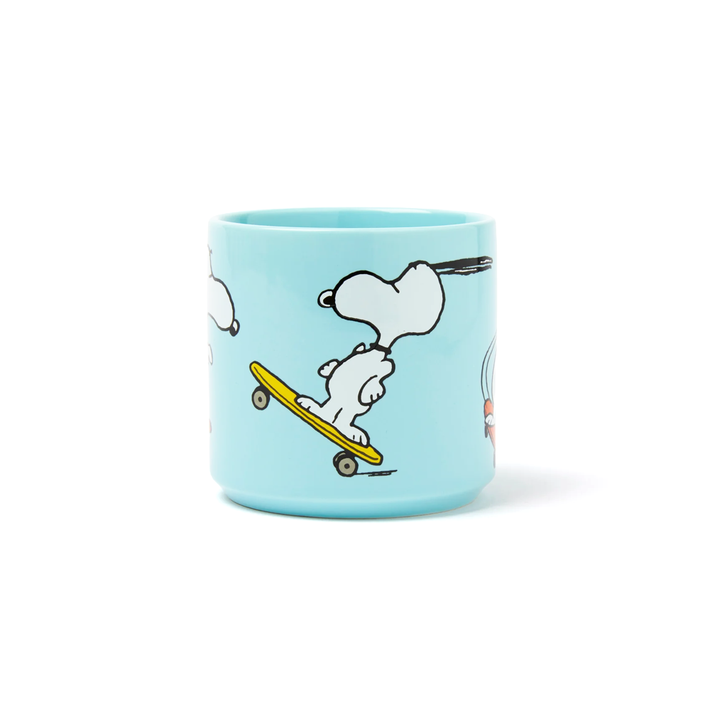 Peanuts Mug - Skateboard