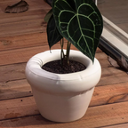 Planter 'PIERRE' Gloss Bone