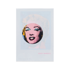 Andy Warhol - Phaidon Focus