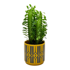 Magpie X Hornsea Medium Planty - Plant Pot Geo Chartreuse