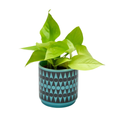 Magpie X Hornsea Small Planty - Plant Pot Backgammon Teal