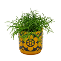Magpie X Hornsea Small Planty - Plant Pot Geo Flower Yellow